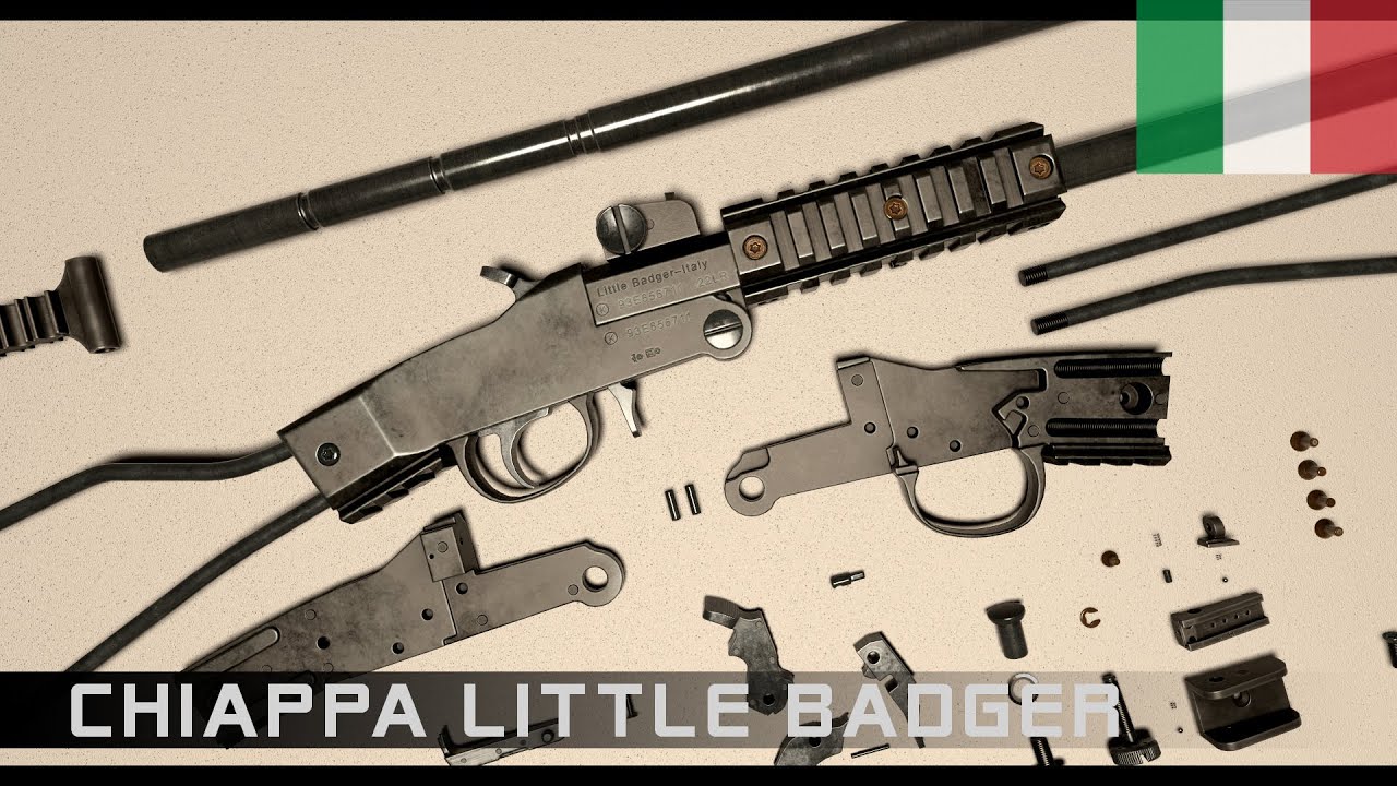 Chiappa Little Badger (assembly and operation) #firearmeducation  #gunmechanics  #worldofguns
