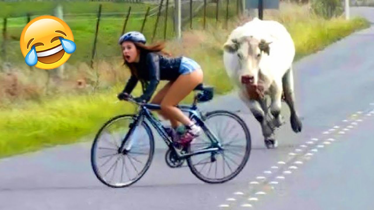 Funny Moments That Make You Laugh So Hard #17