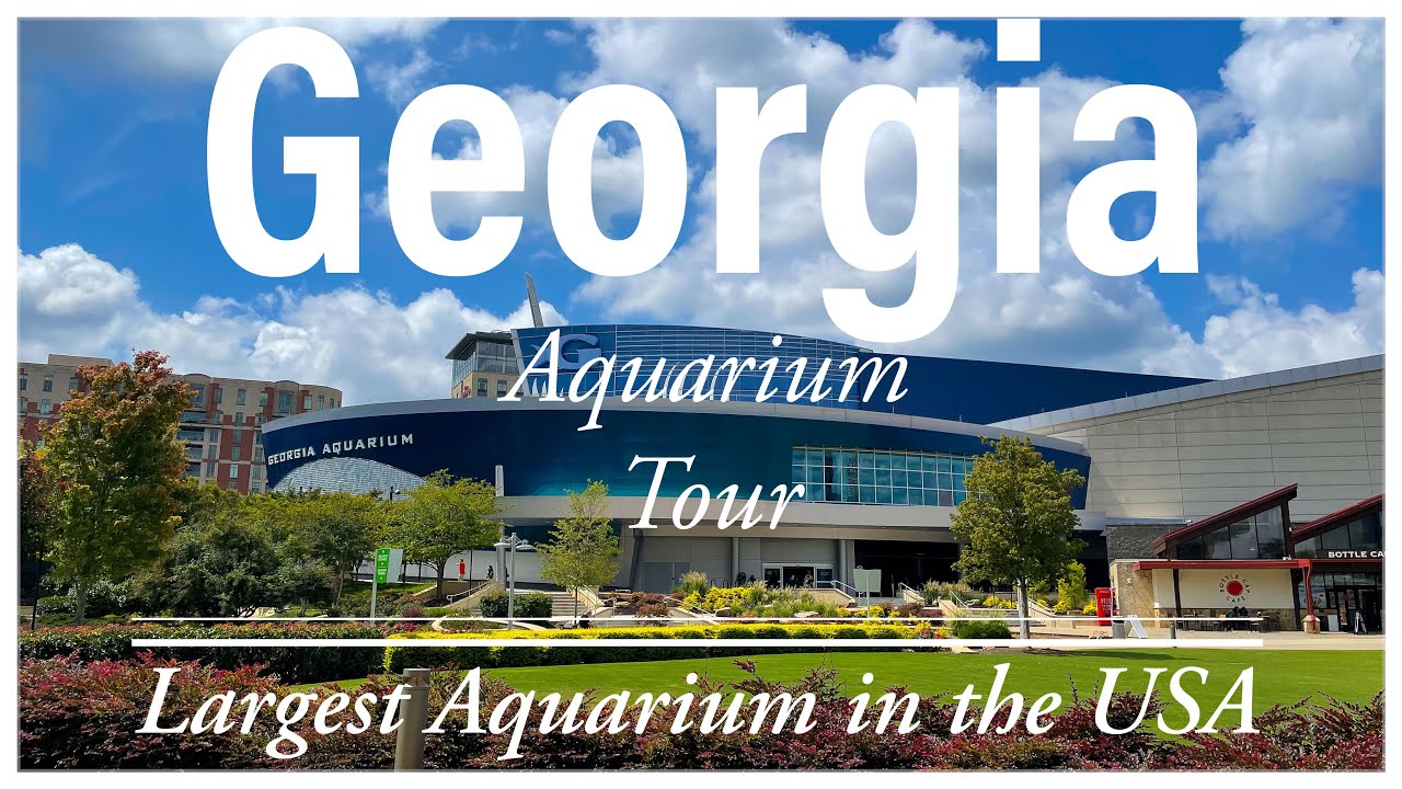 Largest Aquarium in the USA Georgia Aquarium