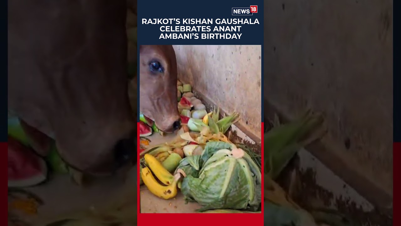 Anant Ambani&rsquo;s Birthday Celebrated at Gaushala | Heartwarming Scenes | #shorts | N18S