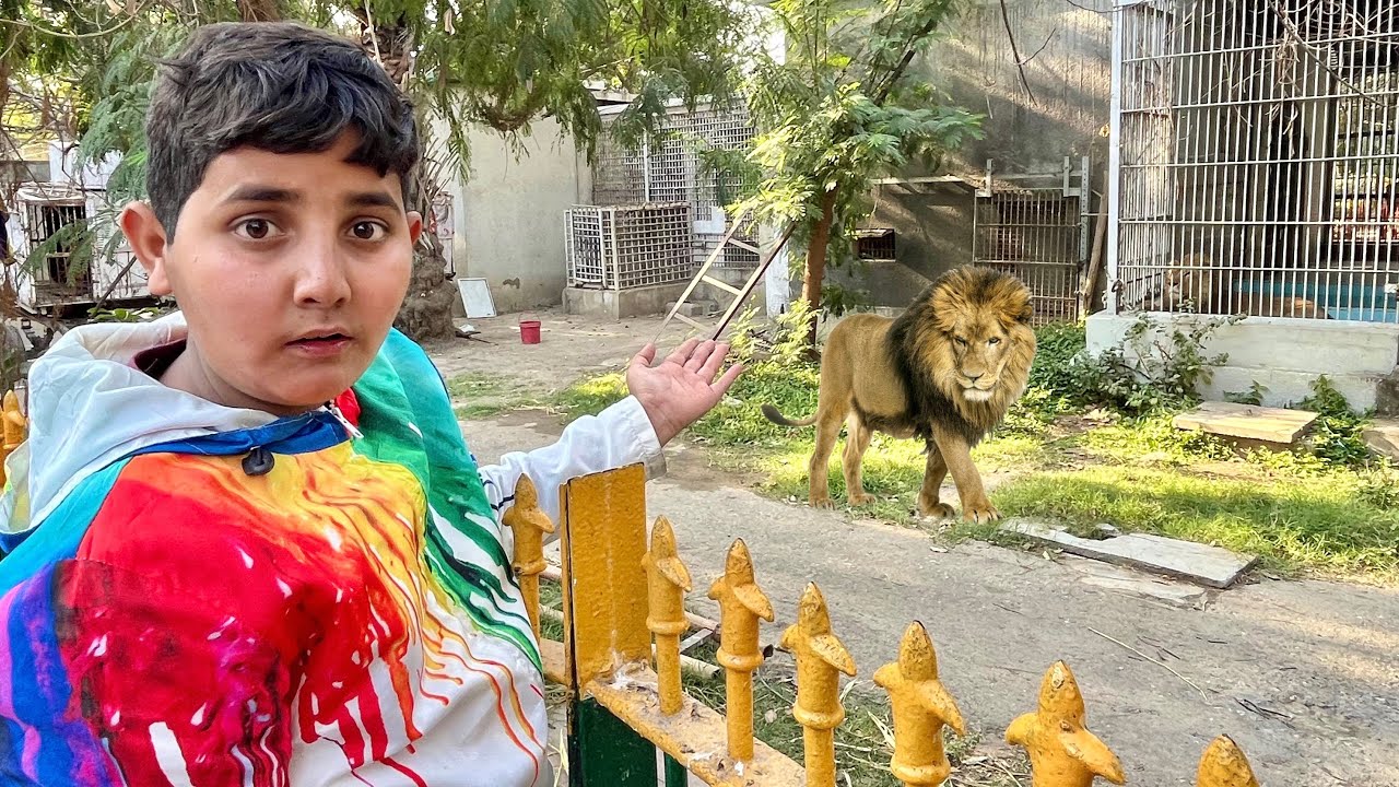 Lion Ne Dara Diya 😲 Zoo Mein