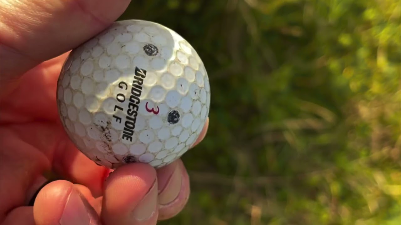 Hunting for golf balls.