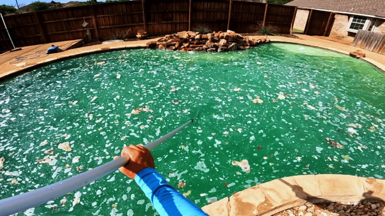 Huge chunks of algae coming off this pool! Full Green to Clean Transformation!