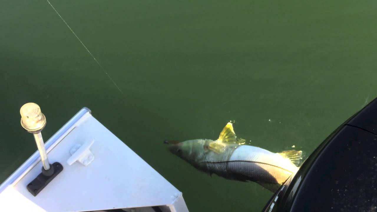 Pescaria feminina com Big Ones - Girl fishing