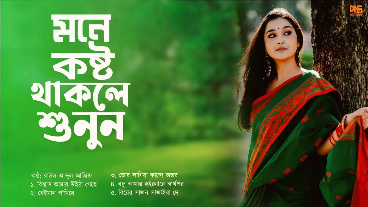 মনে কষ্ট থাকলে গানগুলো শুনুন | Very sad audio album | Baul Abdul Aziz | DNS MUSIC STUDIO |