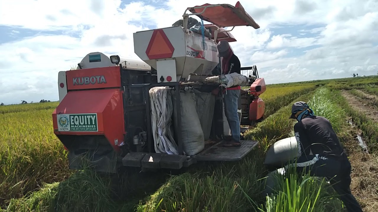 2021 (Super 222) | Harvest Time!