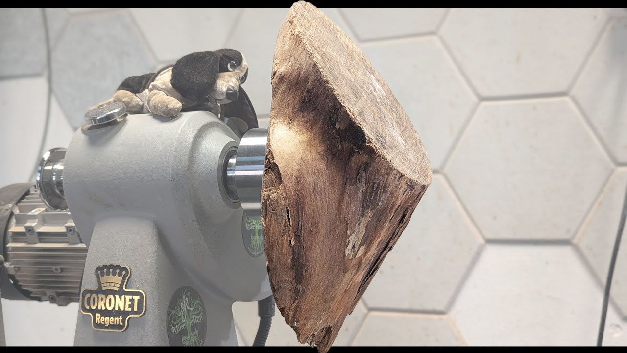The STRANGEST Elm!  - Turning the Unworkable Elm, woodturning project