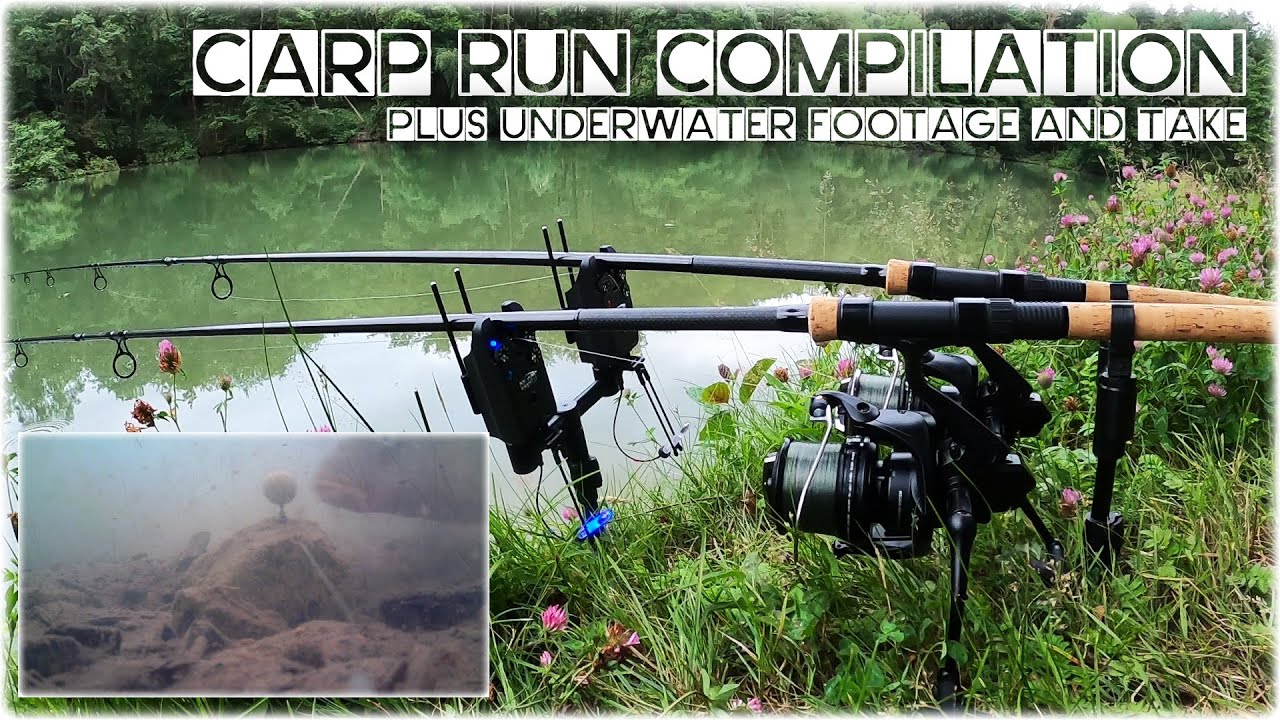 Delkim Carp Run Compilation - with Underwater footage