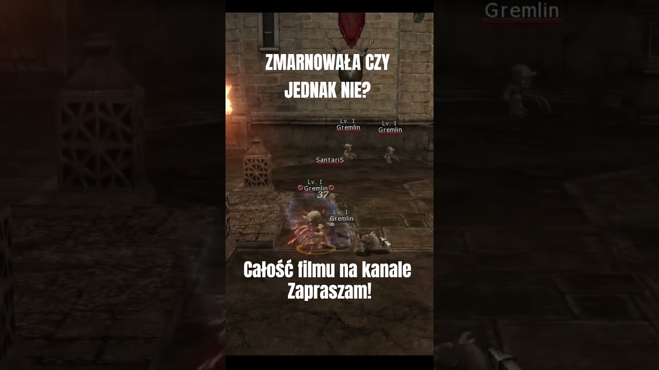 ZMARNOWAŁA CZY JEDNAK NIE? #games #gry #lineage2 #mmo #mmorpg #rpg #anime #gamer #gaming