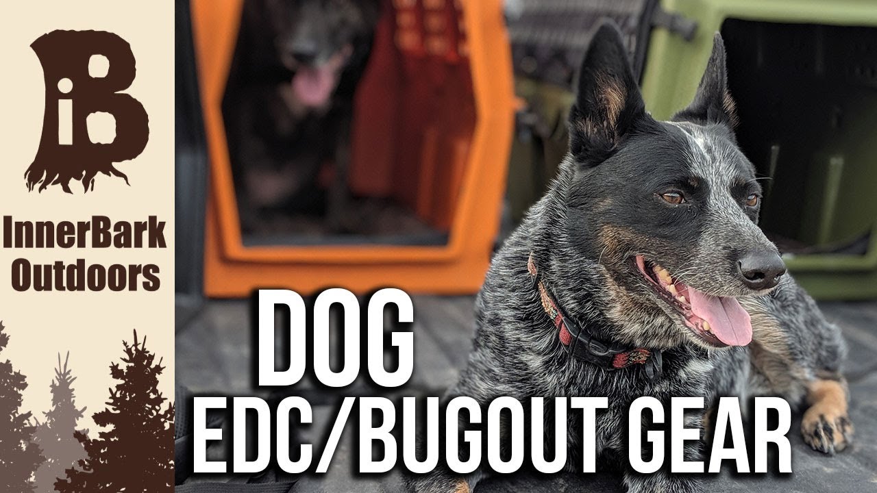 Keep your Dog Safe | Dog Bug Out Bag