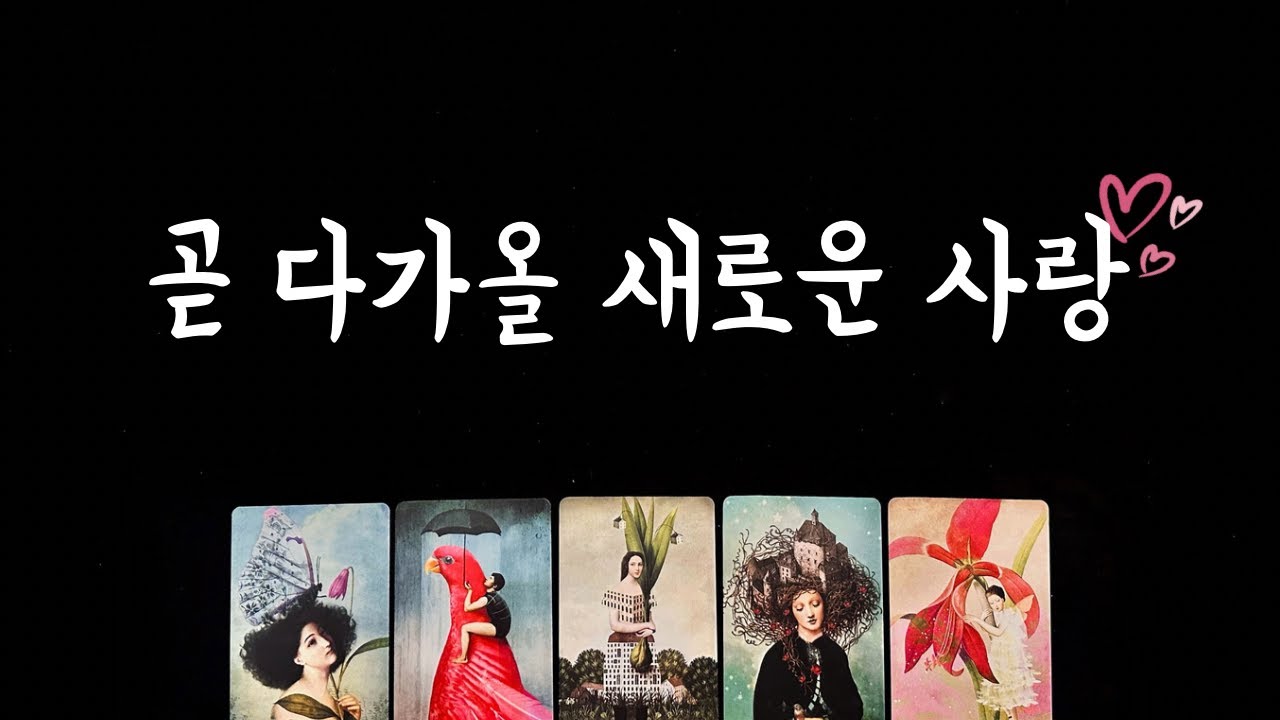 [타로] 새로운 사랑💕 상대방 외모, 성격, 직업