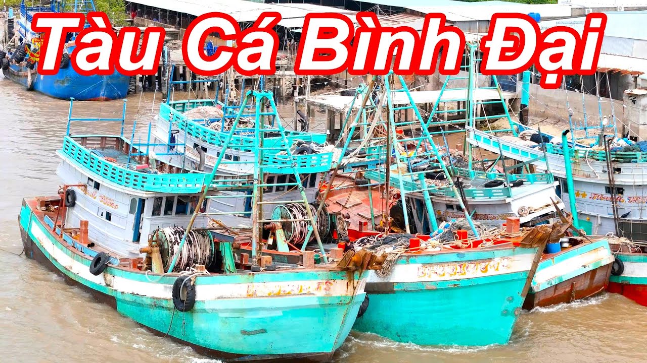Ghe Cào Bình Đại - Bến Tre Về Bến Sao Khi Lấy Đá Xong || Nước Chảy Thấy Thương Quá