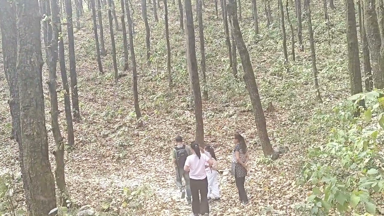 Khalinga jungle Short hiking 🥾