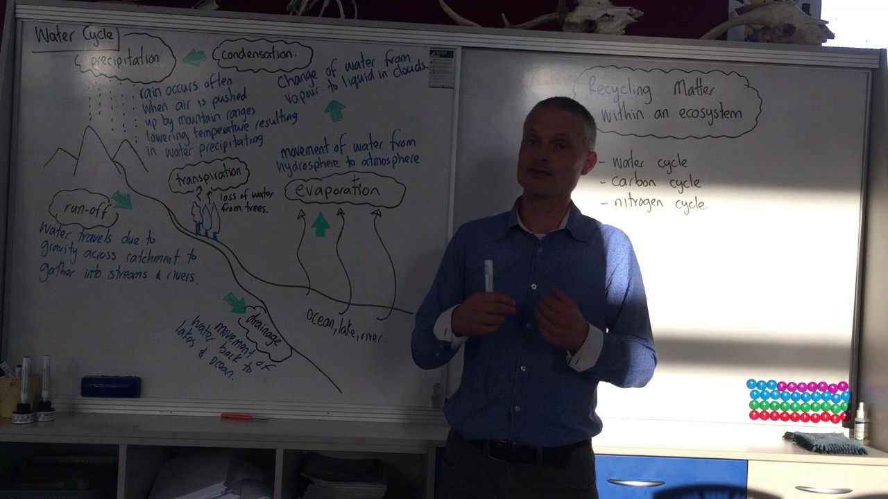 Ecology Matter Recycling