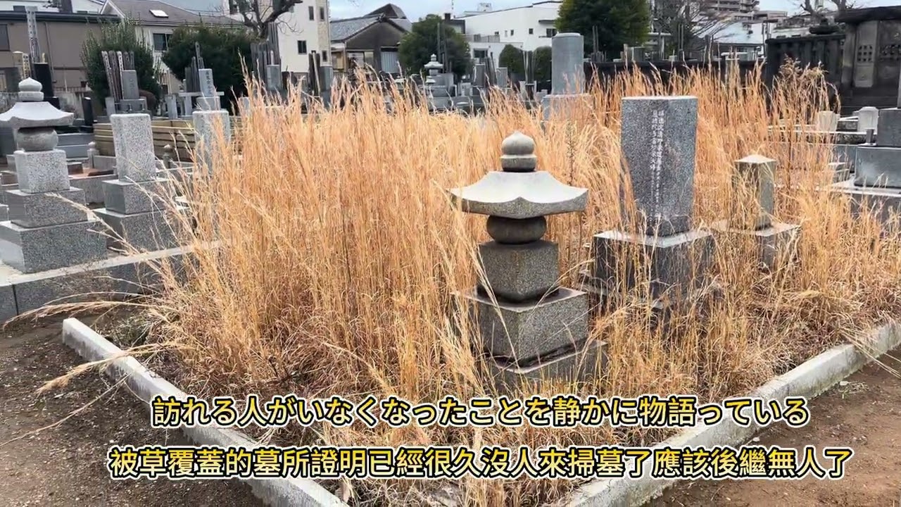 【神の域 #0016】静まり返った大霊場を一人歩くとき、心は何を感じるのだろうか。当独自一人走在寂静无声的墓葬群中时，会感受到什么呢？