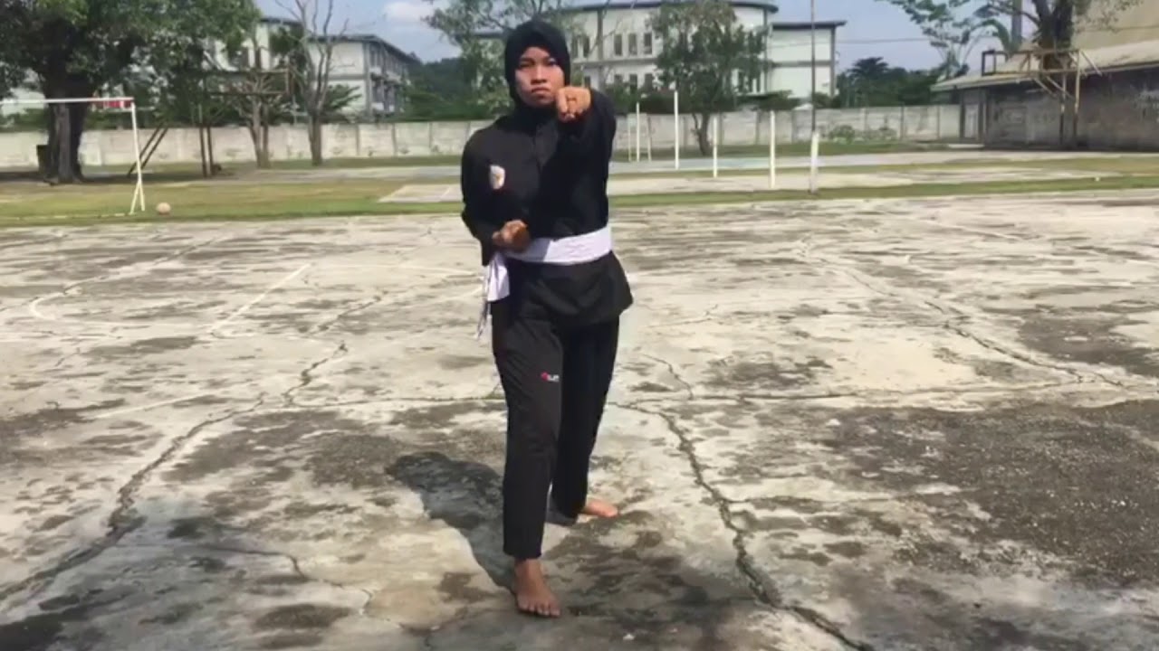 20 gerakan dalam pencak silat