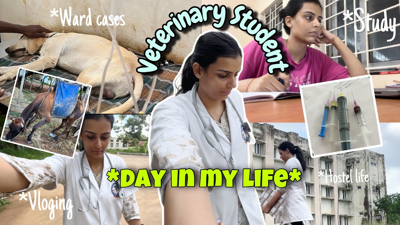 Day in life of a Veterinary Student🩺| Veterinary College✨ | Vlog #vet #veterinary #dayinmylife #vlog