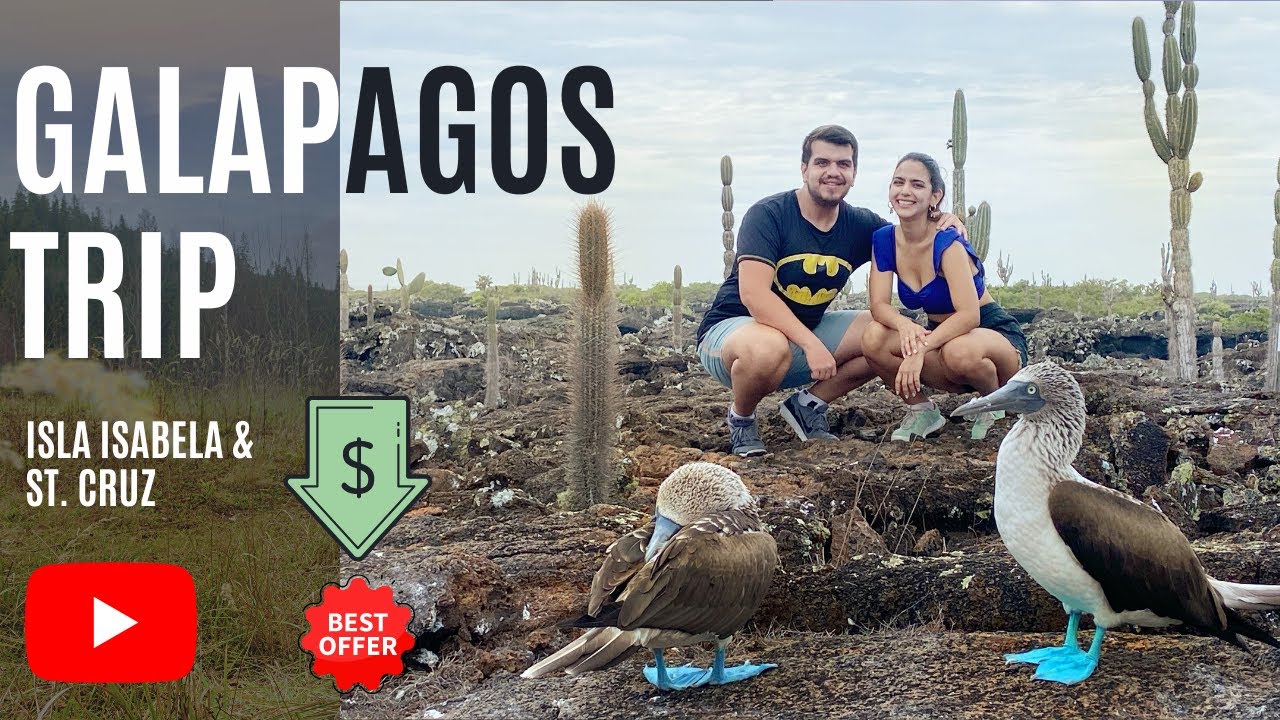Galápagos Paraíso Natural, ¿Qué islas visitar? Hospedaje, comida y  mucho más...