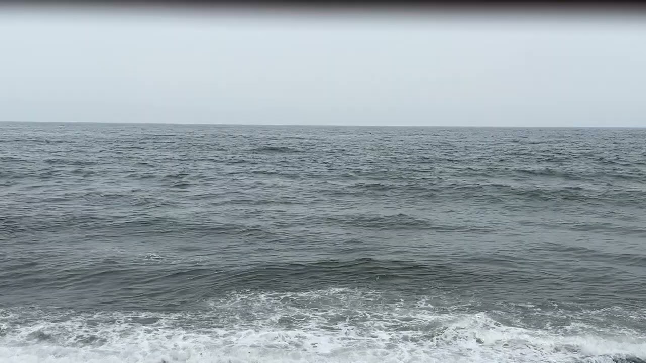 물치 해변