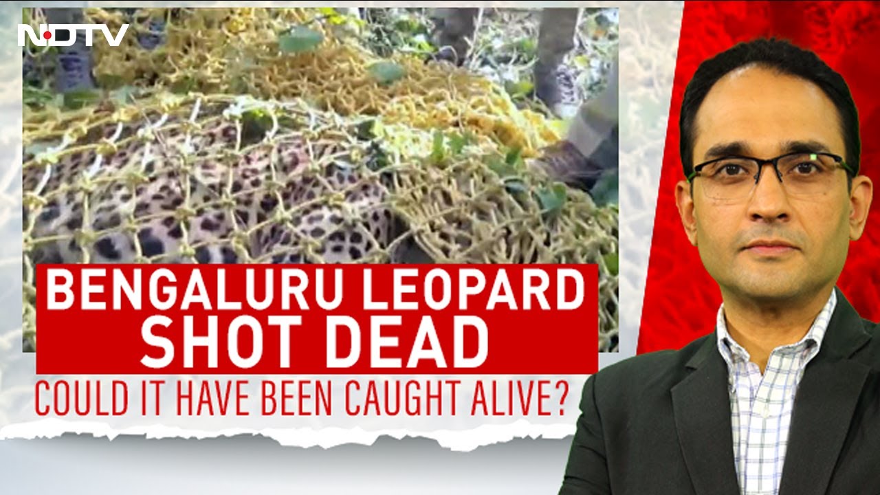 Could The Bengaluru Leopard Have Been Saved? | The Southern View