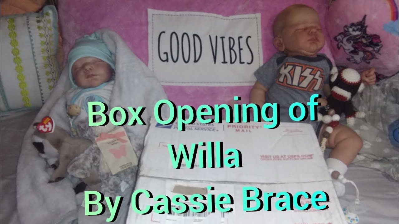 Willa Reborn 💗 Cassie Brace ❤️ Reborn Baby Art Doll ✨ Unboxing 📦 Review 💕 With Marley & Bluebell 💙💚💜