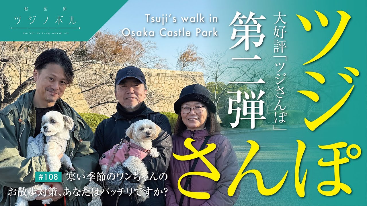 【ツジさんぽ 第二弾】冬のお散歩対策、大丈夫ですか？＠大阪城公園【獣医師ツジノボル】
