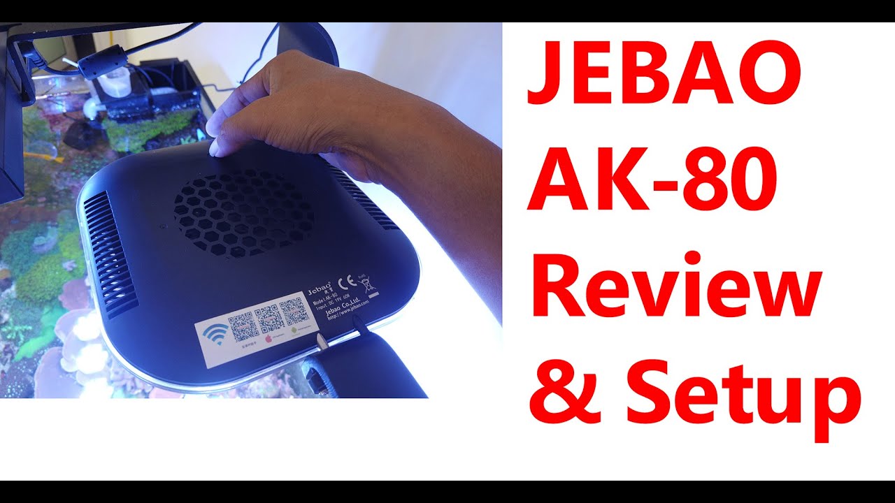 Обзор и руководство по настройке Jebao Ak-80