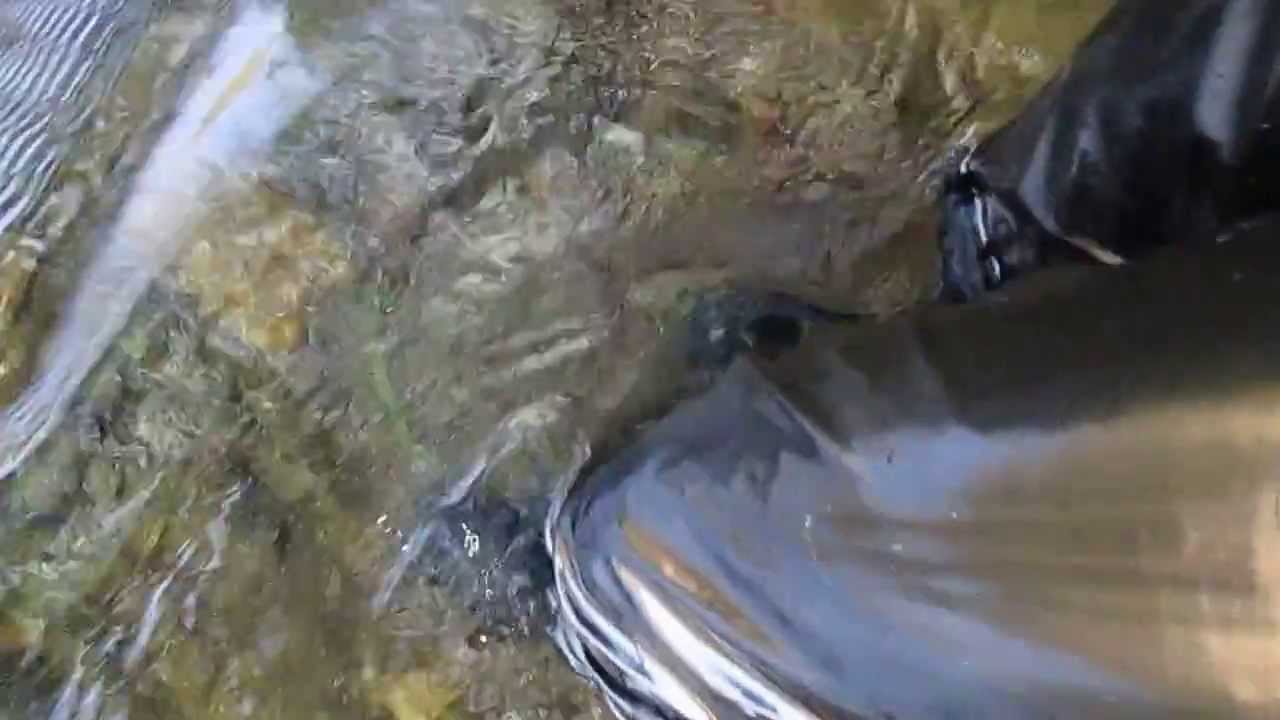 wet boots in river