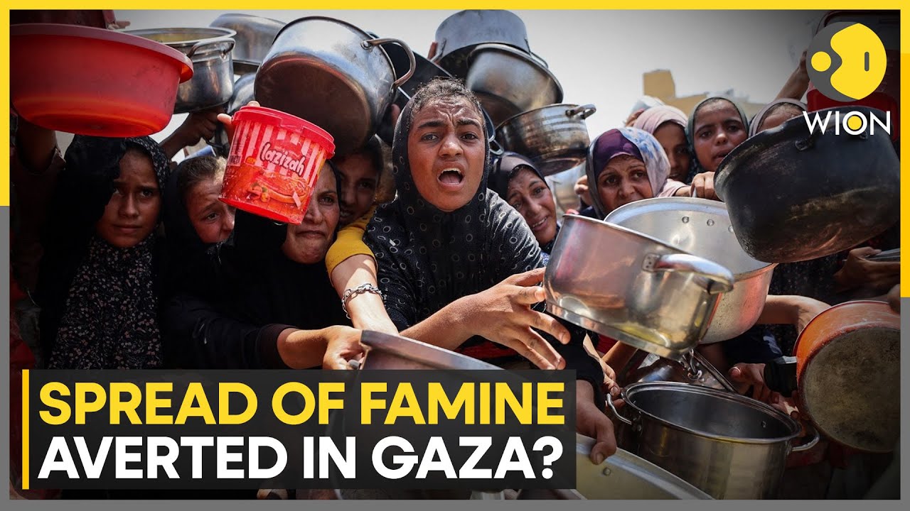 Gazans Face Relentless Starvation After Two Years of War | WION | World News