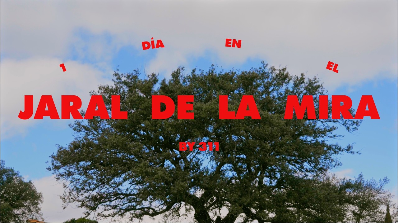 JARAL DE LA MIRA | 24h para parar, conectar y volver a poner el talento en el centro