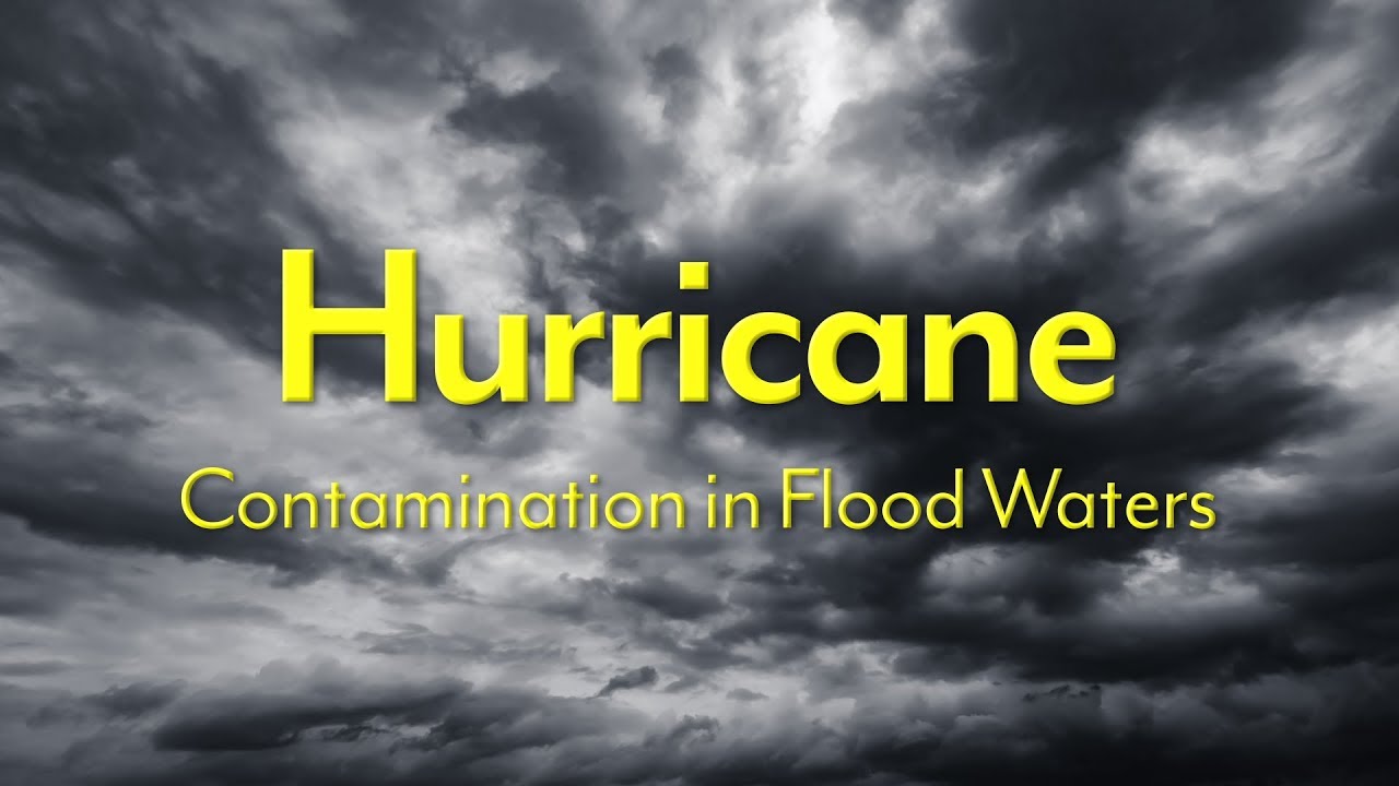 Hurricanes - Contamination in Flood Waters
