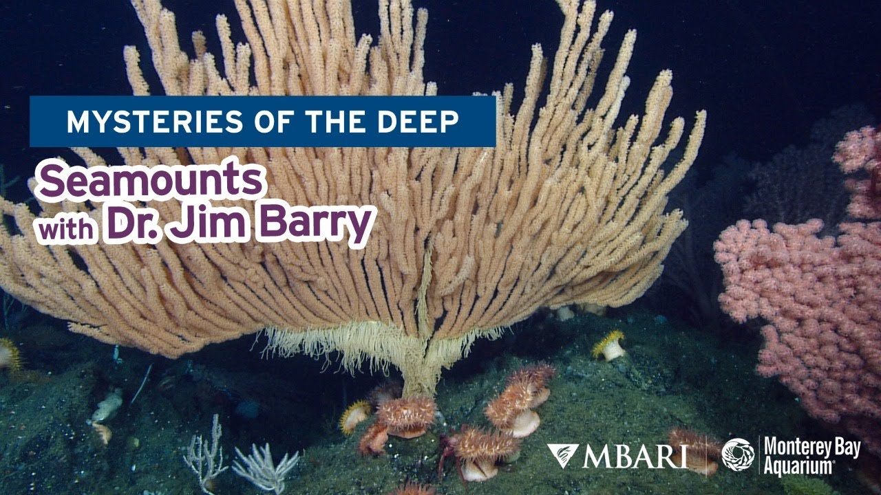 Mysteries of the Deep with MBARI's Dr. Jim Barry — Seamounts!