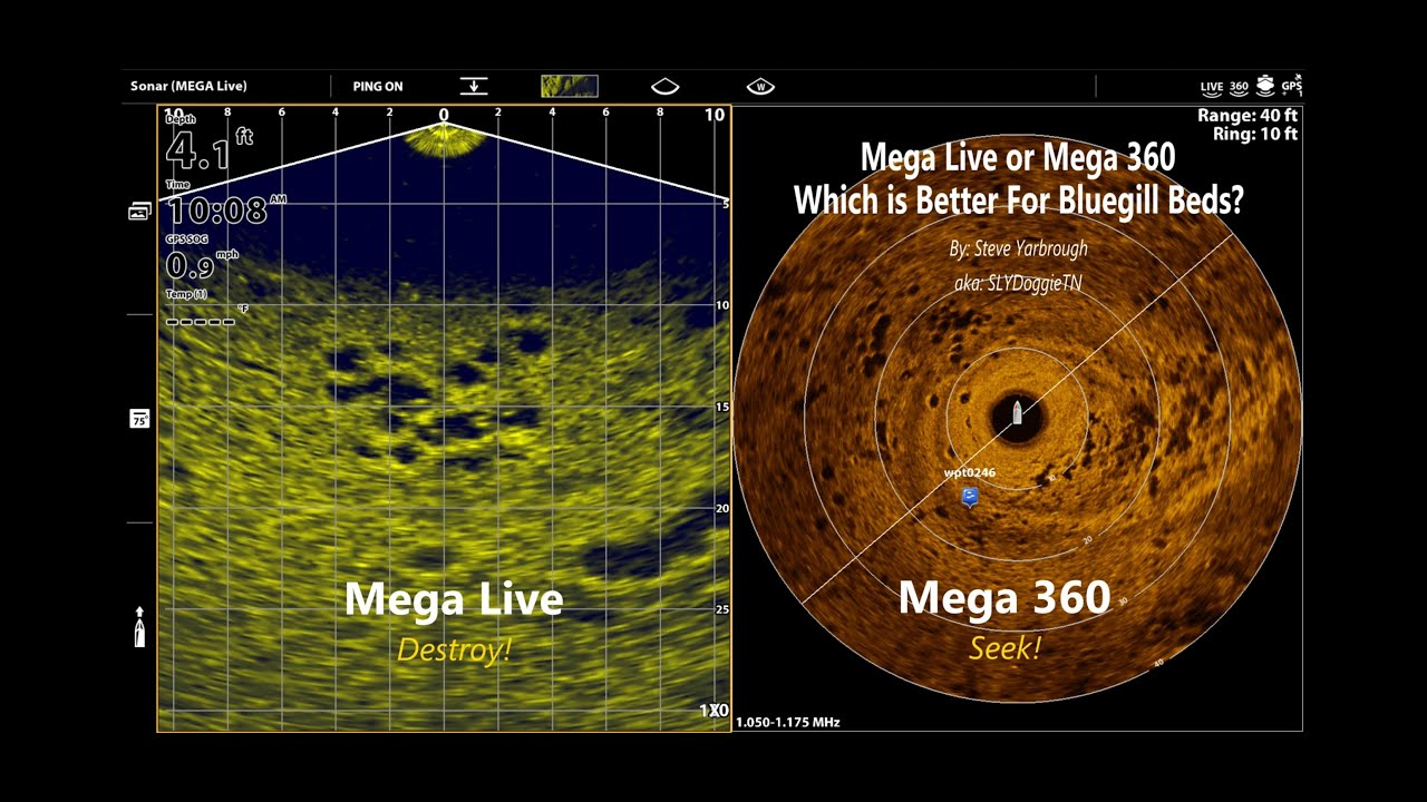 Humminbird Mega Live or Mega 360 - Which is Better for Bluegill Beds?