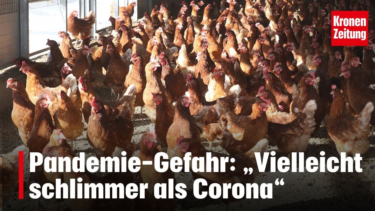 Pandemie-Gefahr: „Vielleicht schlimmer als Corona“ I krone.tv NEWS