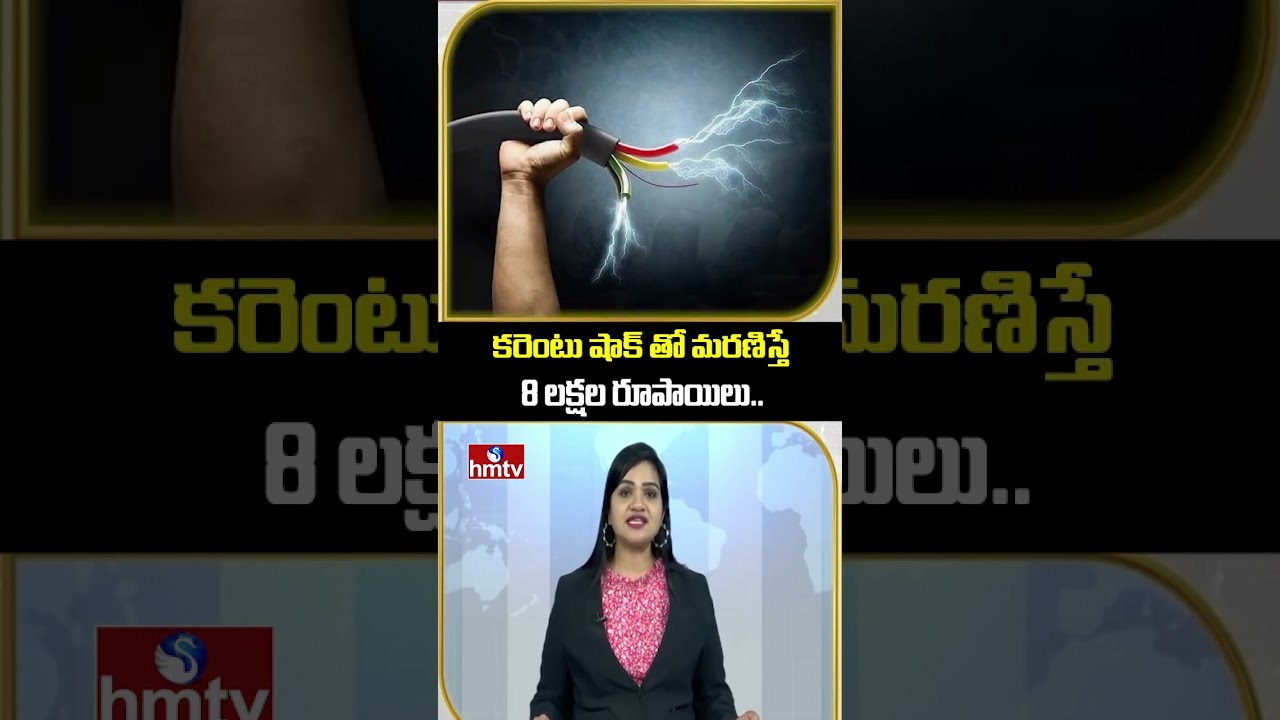 To The Point : కరెంటు షాక్ తో మరణిస్తే 8 లక్షల రూపాయిలు.. | TGNPDCL | hmtv