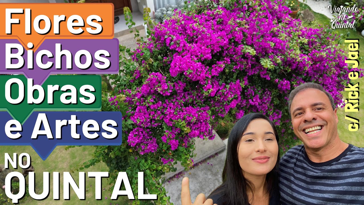🌸 FLORES, BICHOS, OBRAS E ARTES NO NOSSO QUINTAL 🎨