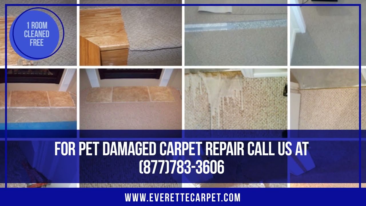Carpet Cleaning & Carpet Repair In Springfield, VA
