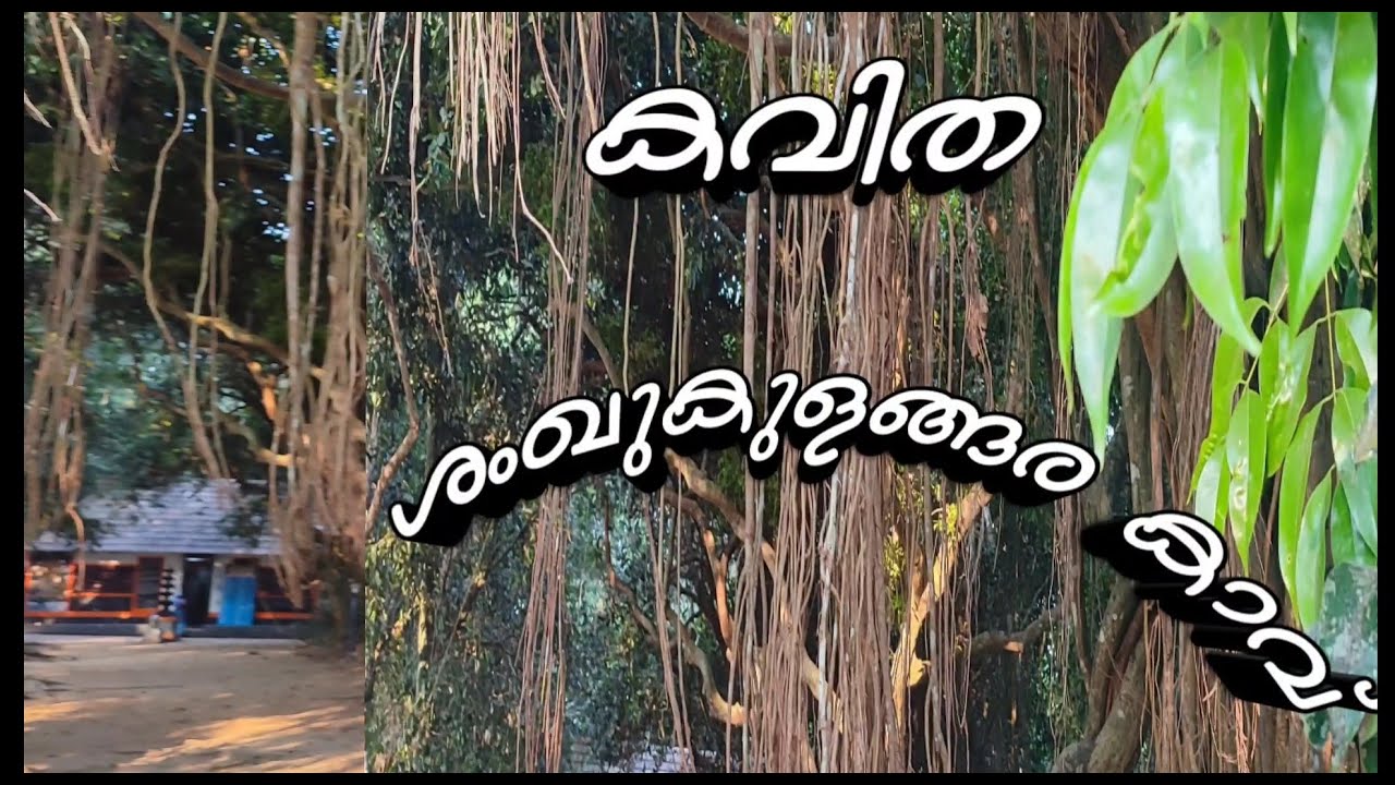 ശംഖുകുളങ്ങര കാവ്!sankulangara kavu!sanghu kulangara !sathian chittezhath!smitha p menon!കവിത!kavitha