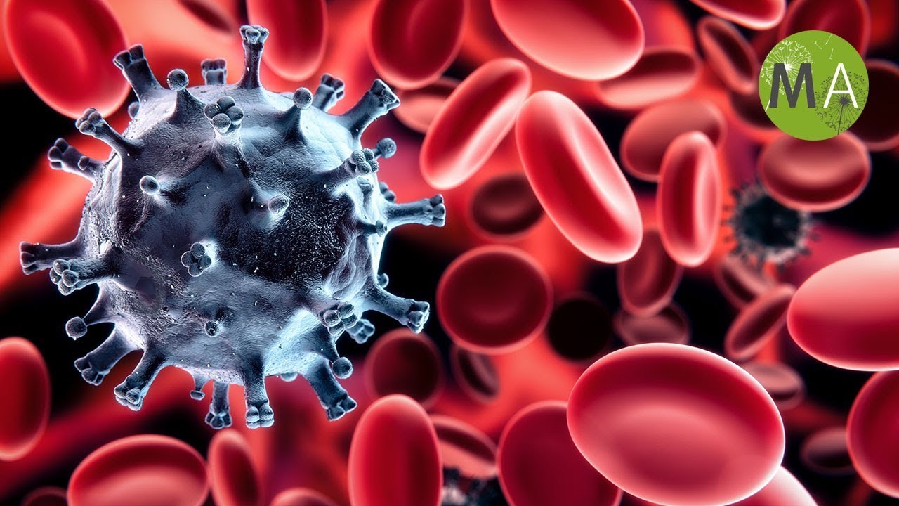 Immune System Support - Alpha/Theta Isochronic Tones with Heavy Rain