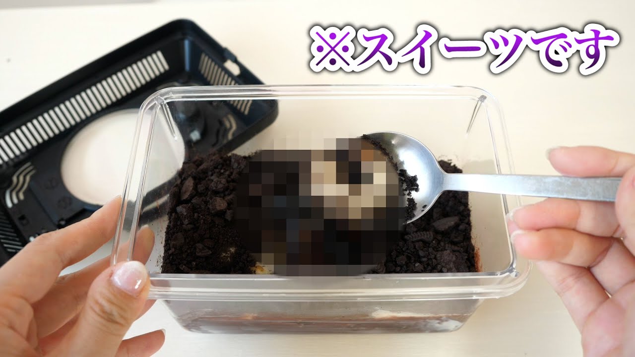 【閲覧注意】まるで本物みたいな昆虫ケーキの作り方【 こうじょうちょー  】グミップルラボドキッとステーション