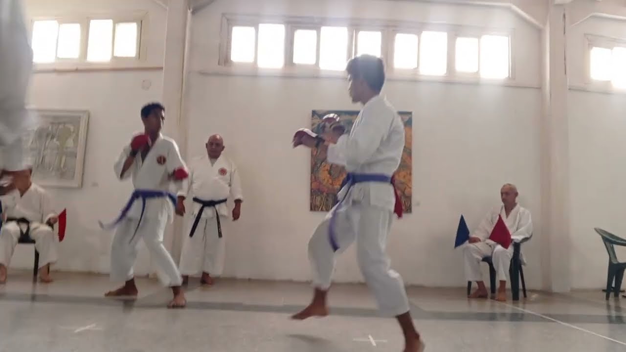 Torneo epico de karate 05/04/25