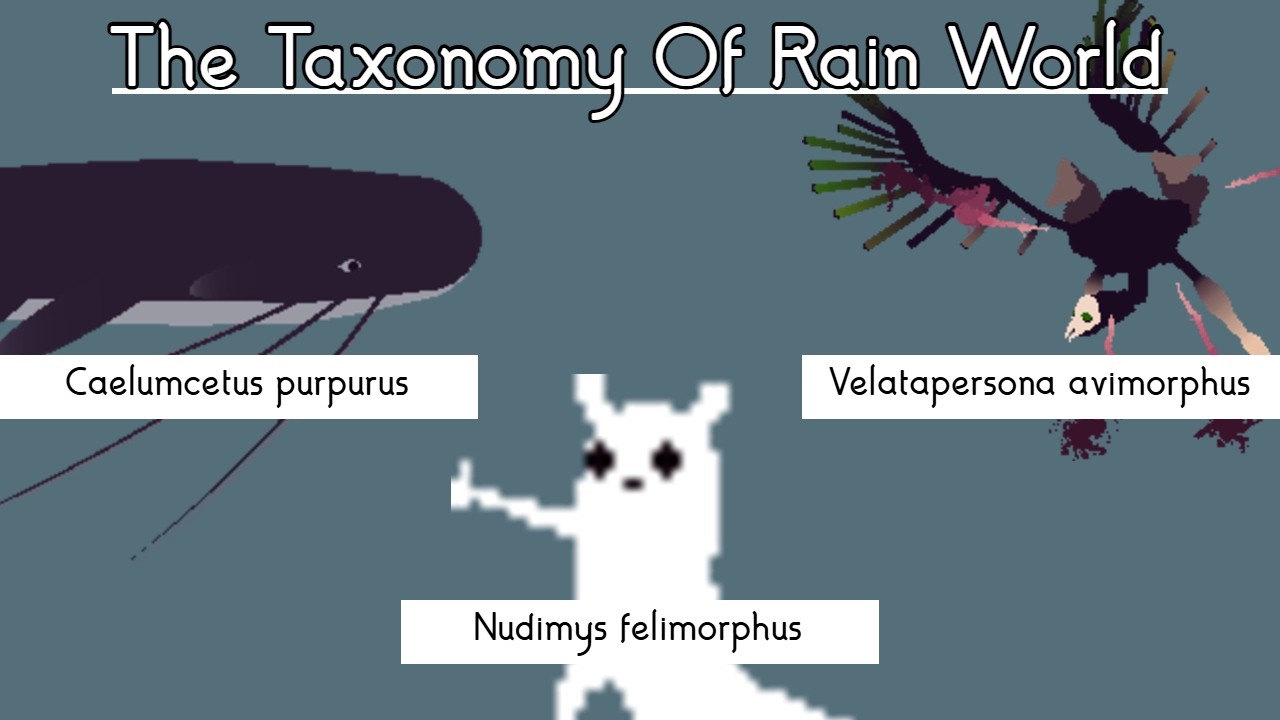 I gave every Rain World animal a scientific name, and ranked them phylogenetically.
