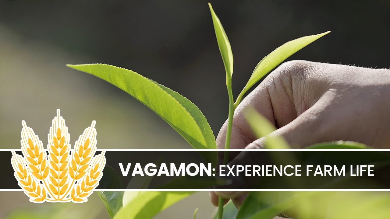 Vagamon: Experience Farm Life