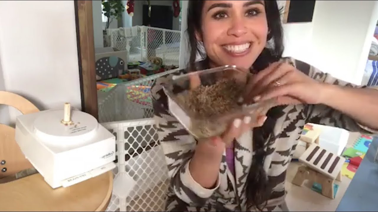 Warming Energy Bars [Kim Cooks Live + Q&A]