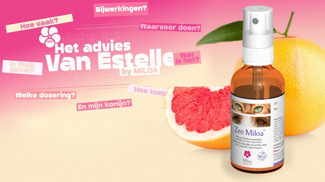 Zen Miloa™: de natuurlijke anti-stress oplossing