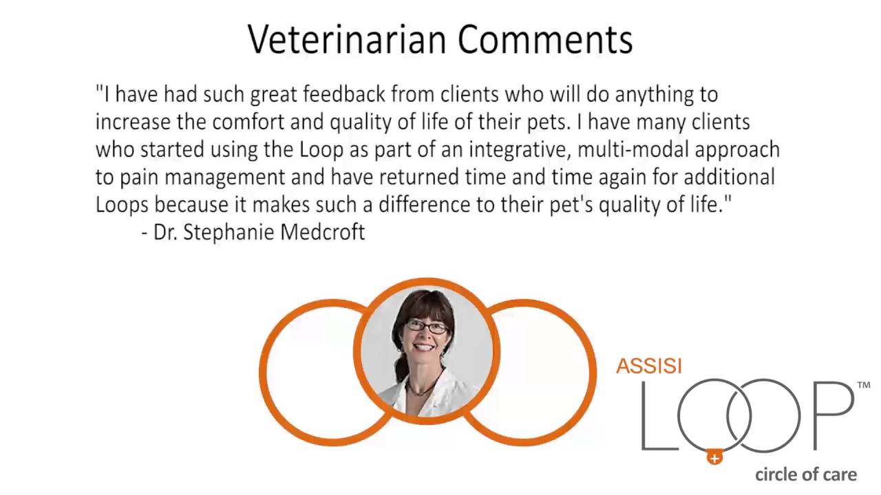 Assisi Loop 2 minutes for veterinarians