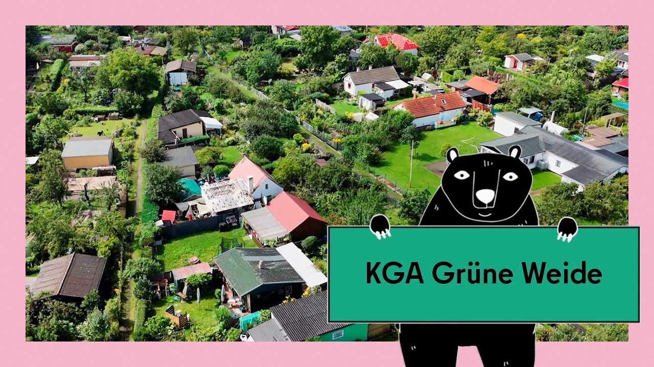 Gärtnern in der Kleingartenanlage: Grüne Weide in Treptow-Köpenick