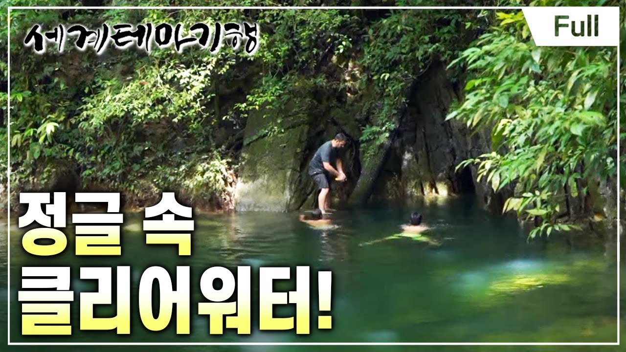 [Full] 세계테마기행 - 자연이 그리워서, 동말레이시아- 웰컴 투 더 정글