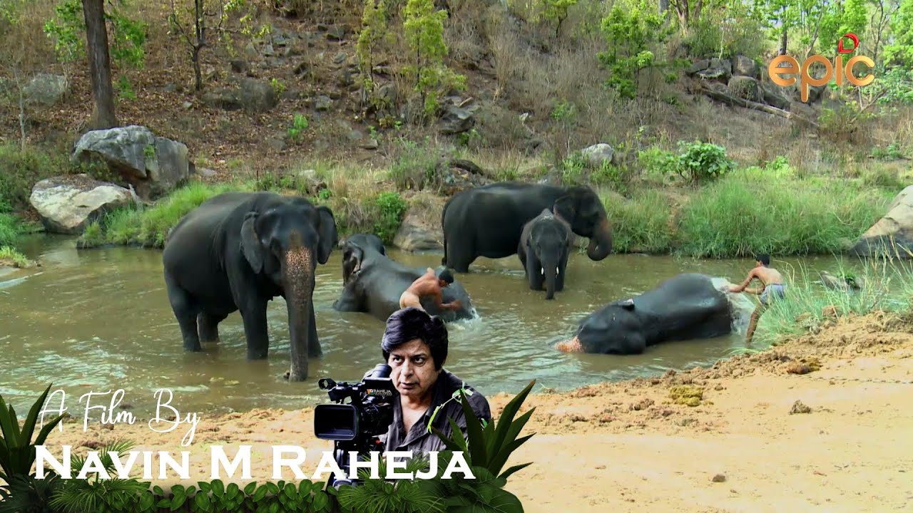 A JEWEL CALLED KANHA - WILDERNESS DAYS-2021-ENGLISH