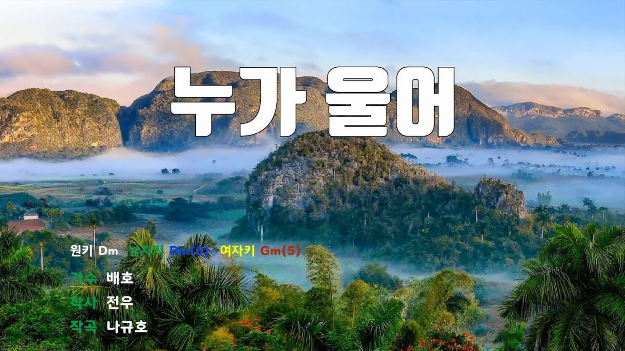 [은성반주기] 누가울어 - 배호 /MR/가사